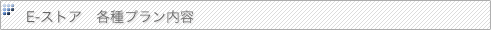 E-ストア 各種プラン内容